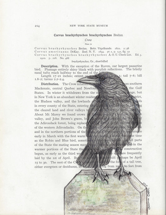 Crow Giclee Print