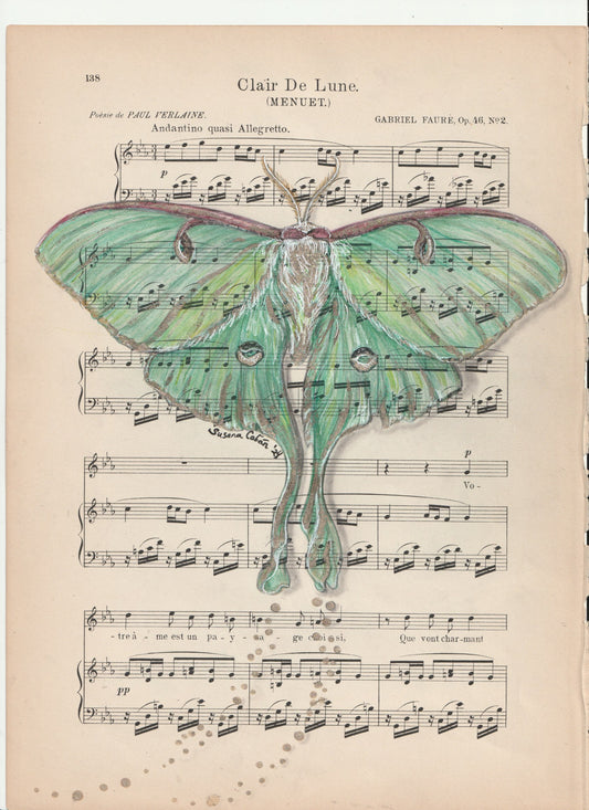 Luna Moth Giclee Print