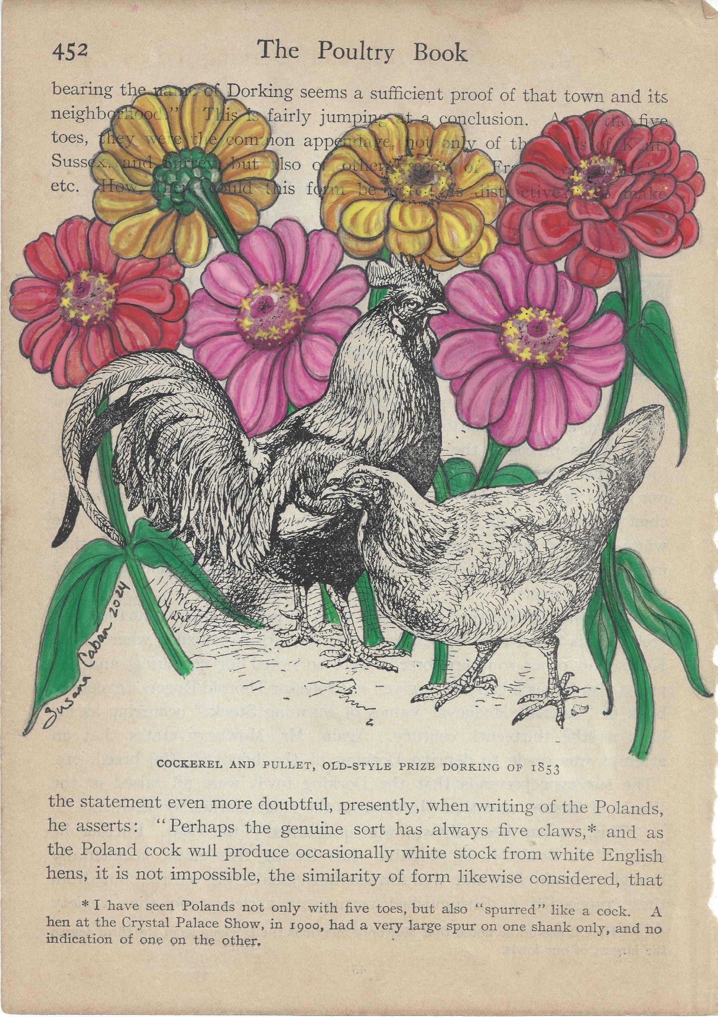 Zinnia Chickens Giclee Print