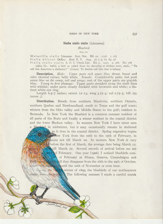 Bluebird Giclee Print