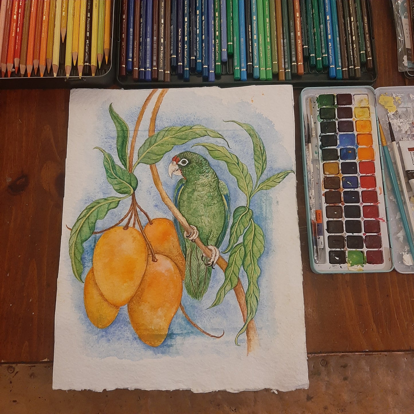 Puerto Rican Parrot Giclee Print