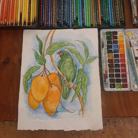 Puerto Rican Parrot Giclee Print