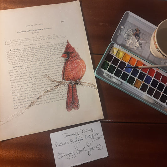 Cardinal Giclee Print