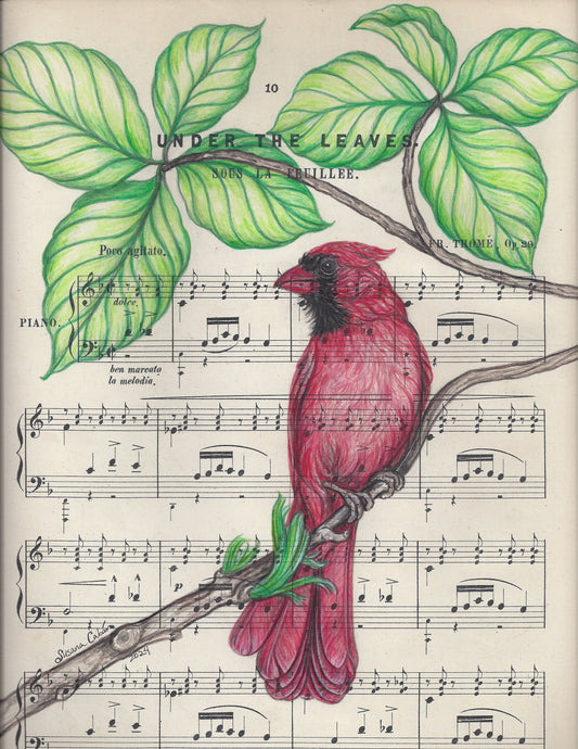Cardinal Under the Leaves Giclee Print