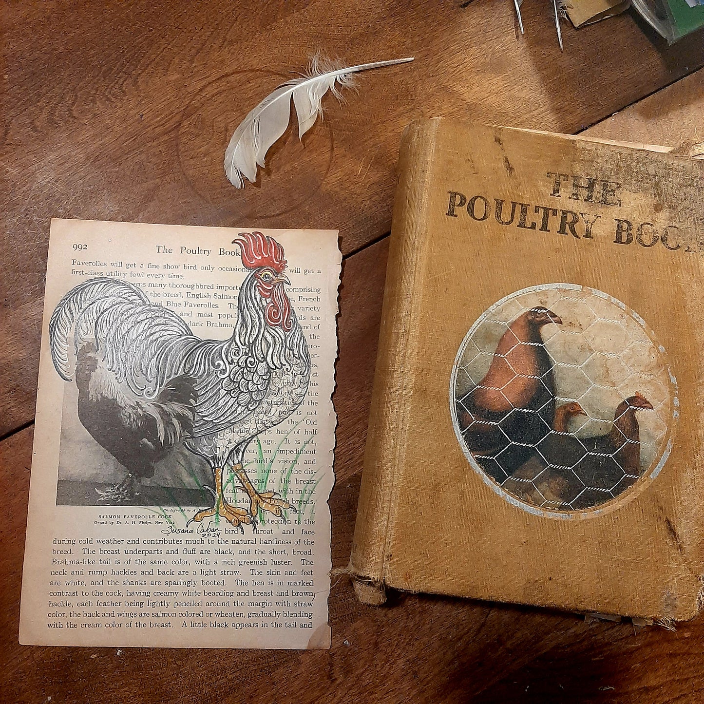 Rooster Giclee Print