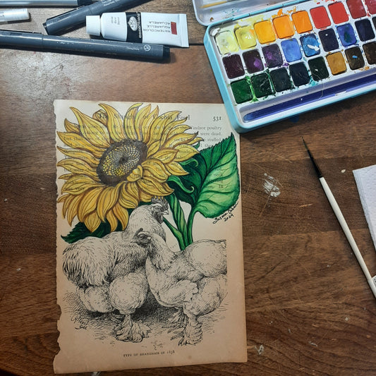 Sunflower Chickens Giclee Print
