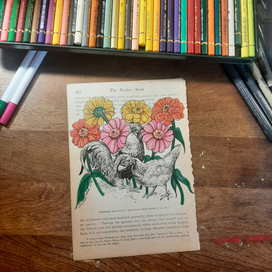 Zinnia Chickens Giclee Print