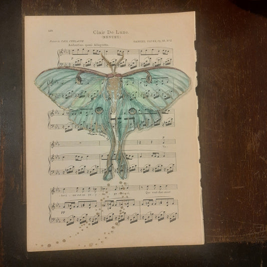 Luna Moth Giclee Print