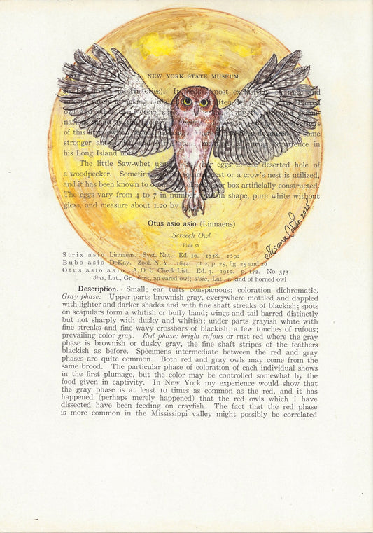 Full Moon Owl Giclee Print