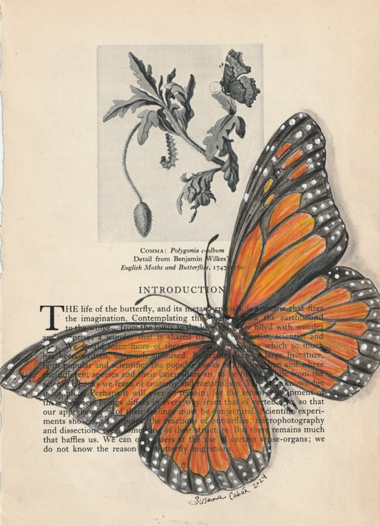 Monarch Butterfly Giclee Print