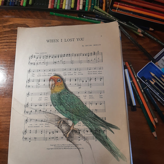 Carolina Parakeet Giclee Print