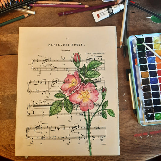 Papillions Roses Giclee Print