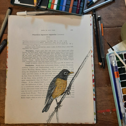 Robin Giclee Print