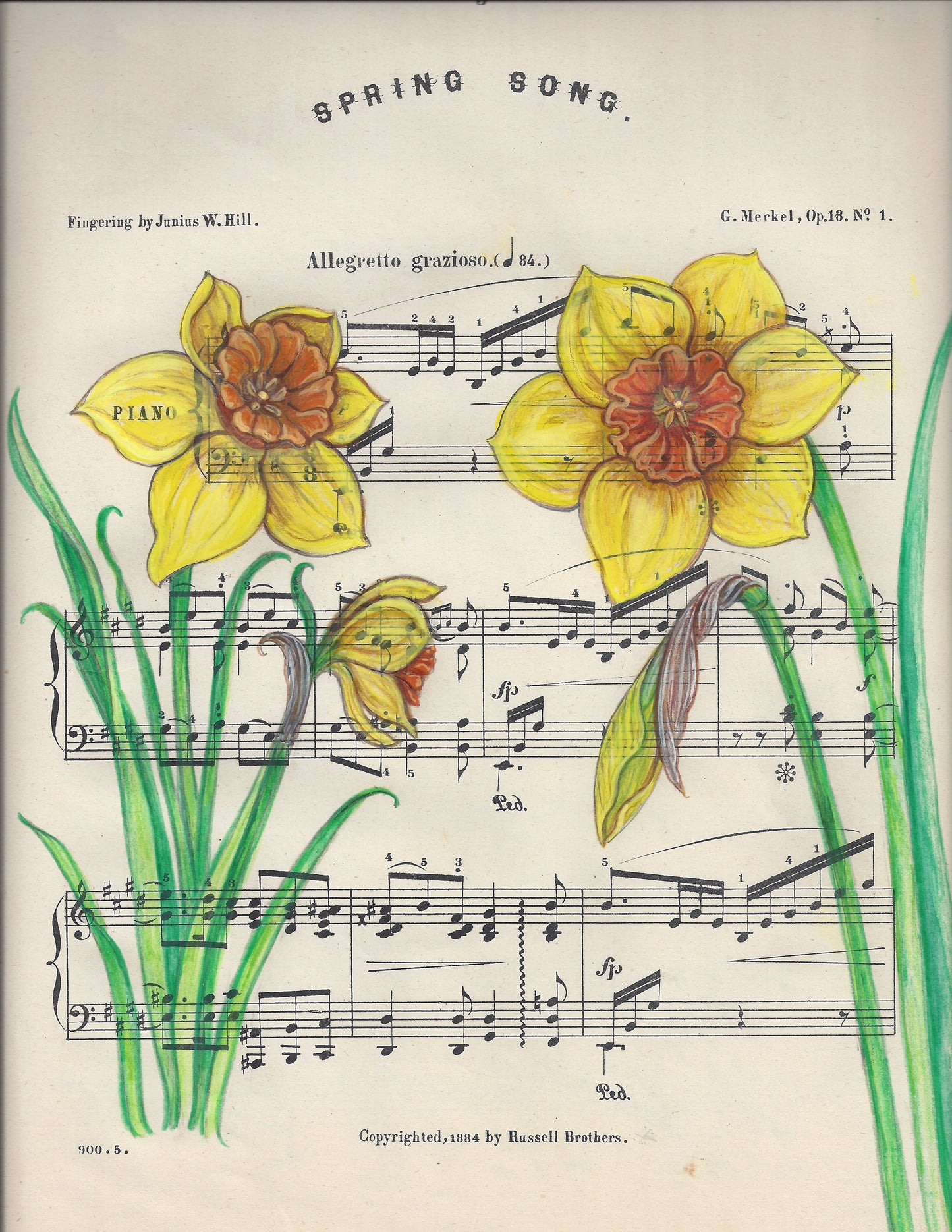 Spring Song Daffodil Giclee Print